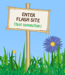 Enter Flash Site